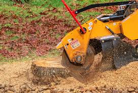 Reliable Canton, MO Tree Removal Services Solutions